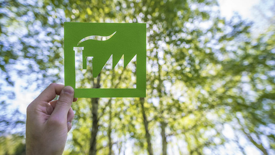 The future of carbon pricing and critical raw materials: policy paths for Germany and Japan as partners in the energy transition