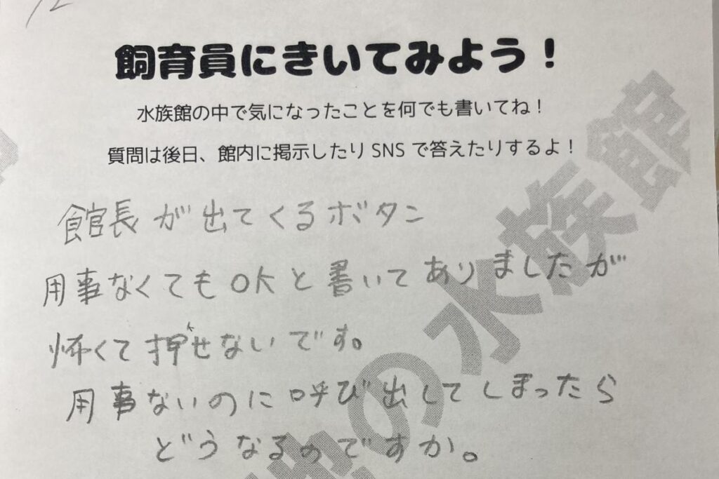 北海道の水族館にある「館長が出てくるボタン」を押すとどうなる？　素朴な質問への回答が話題 | LIMO | くらしとお金の経済メディア