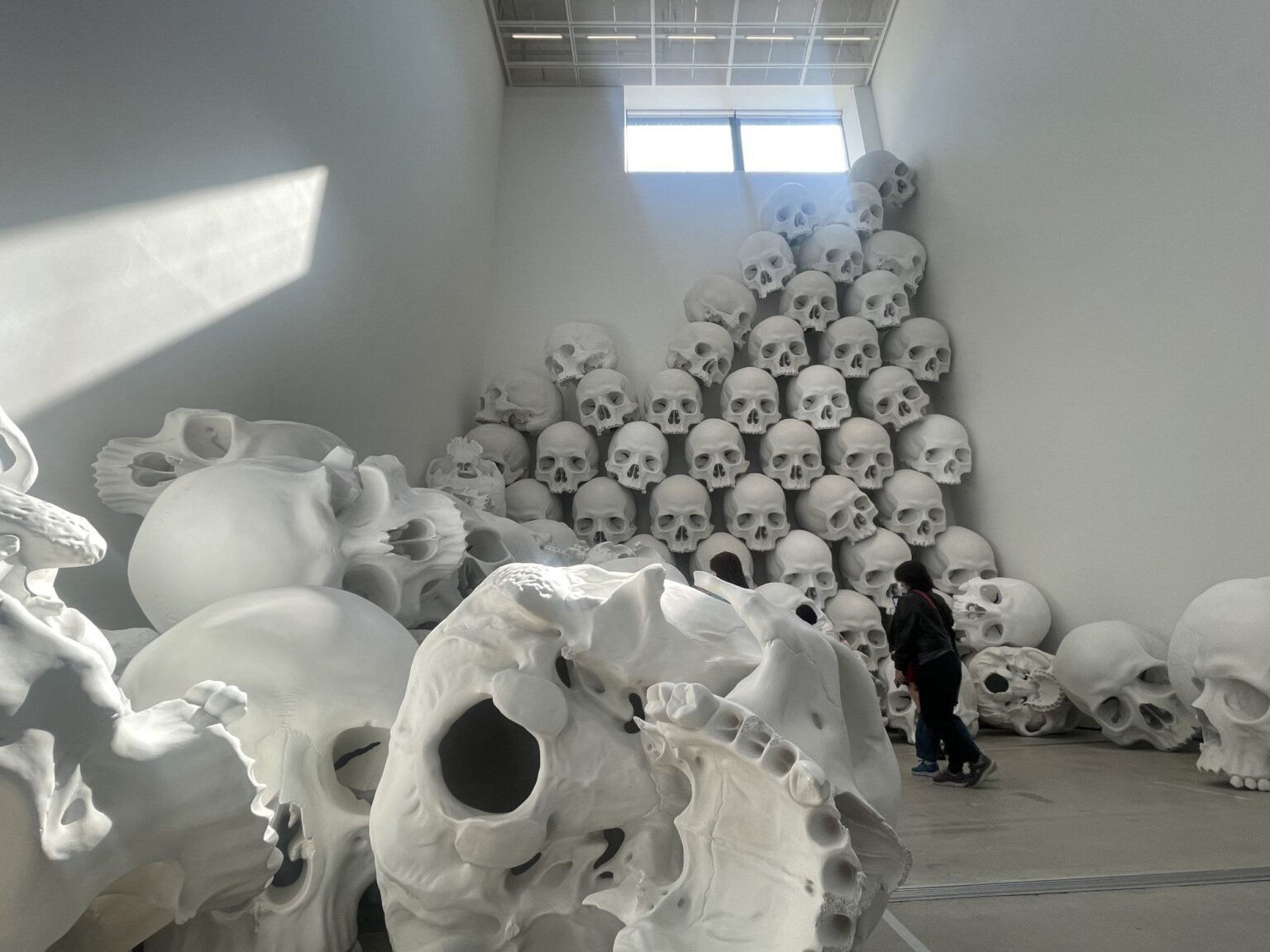 浴びるように観る体験が難解なコンセプトもその場で腹落ちさせる 人生を変える韓国現代アート旅 ソウルからの帰国便できっとあなたは現代アートファンになっている | JBpress autograph