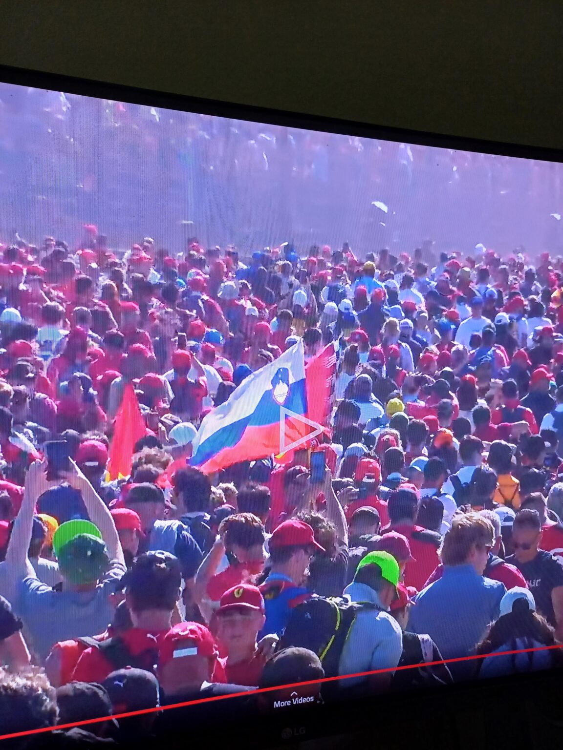 F1レースで観察されたスロベニアの旗