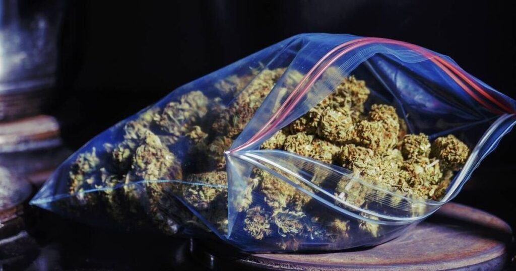 慢性的な痛みを緩和するために大麻を栽培したコルクの男は刑務所を避けます