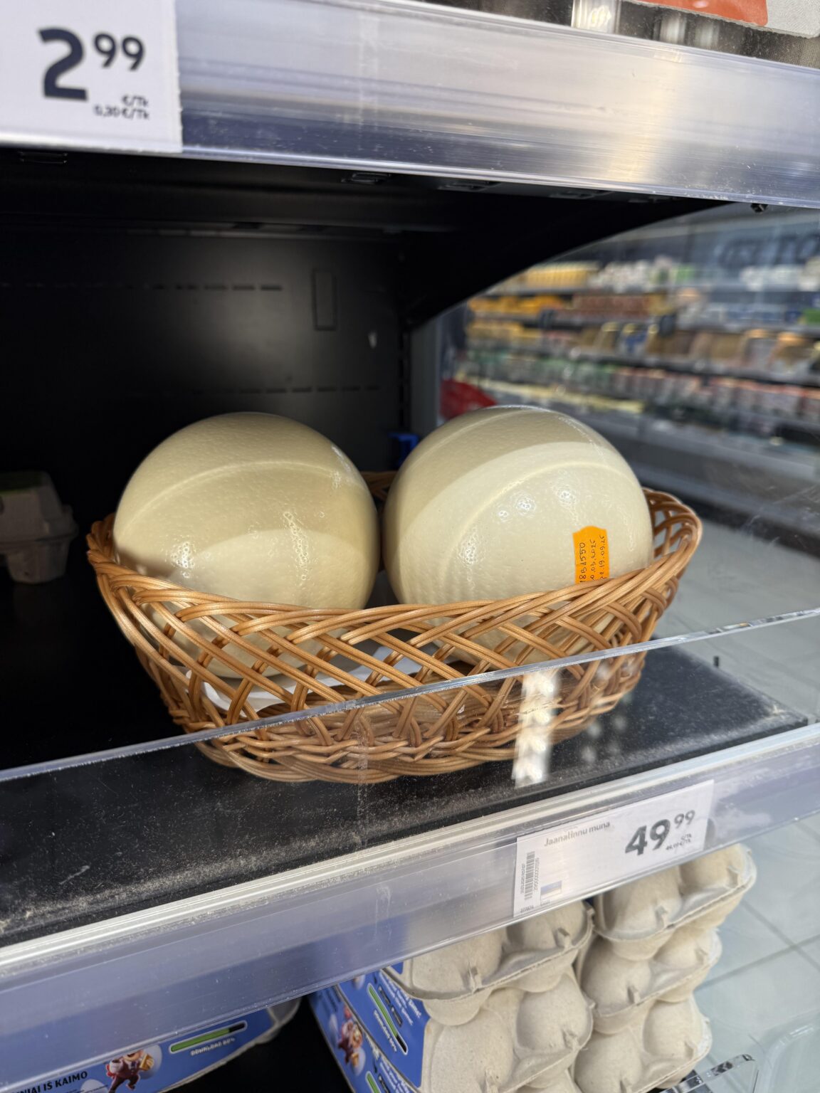 誰かがダチョウの卵を買ったことがありますか？元気ですか？