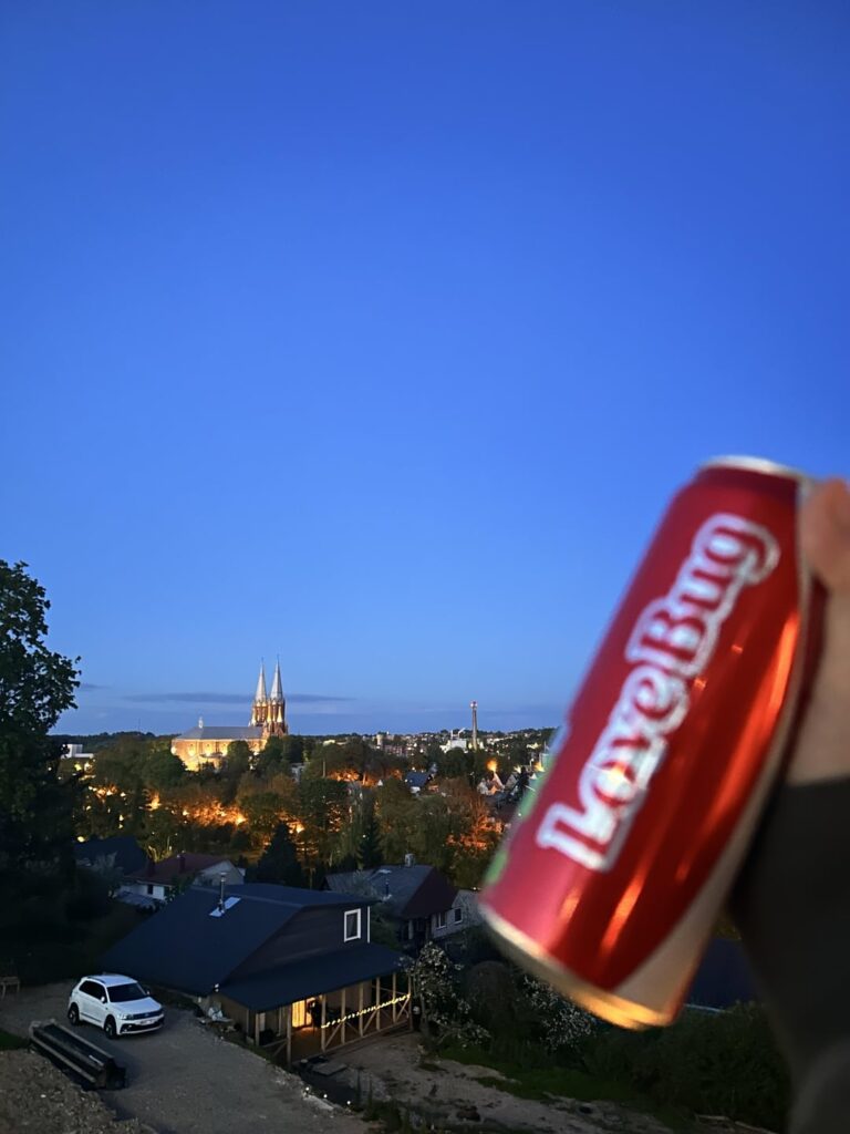 リトアニアへの私の2週間の旅行🇱🇹PT2