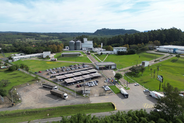 ブラジルで野鳥から鳥インフル、一部養鶏場も調査中 ＝ファバロ農相(ロイター) - goo ニュース