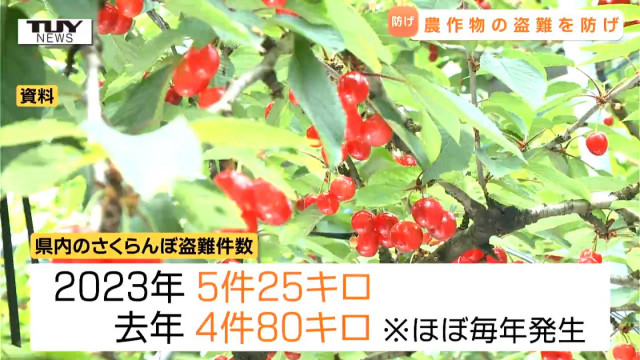 これから旬の 