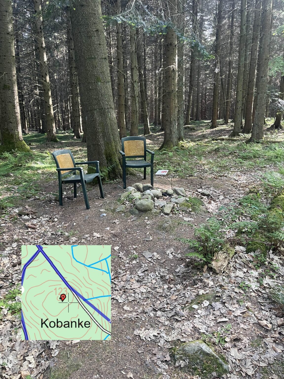 私はあなたがそれをする必要がないので、私はZealandの最高の地点を登ったので