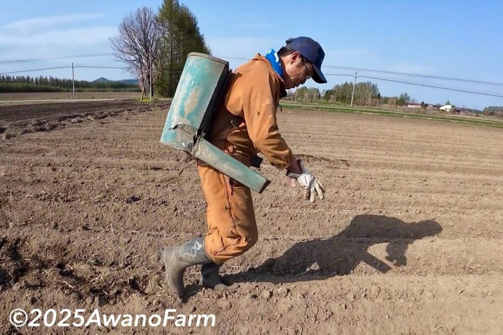 SODANE – 北海道十勝でも畑作シーズンが開幕!じゃがいもの種まきに取り掛かるアグリYouTuber粟野さん phonto-2-15-1536x1024.jpg