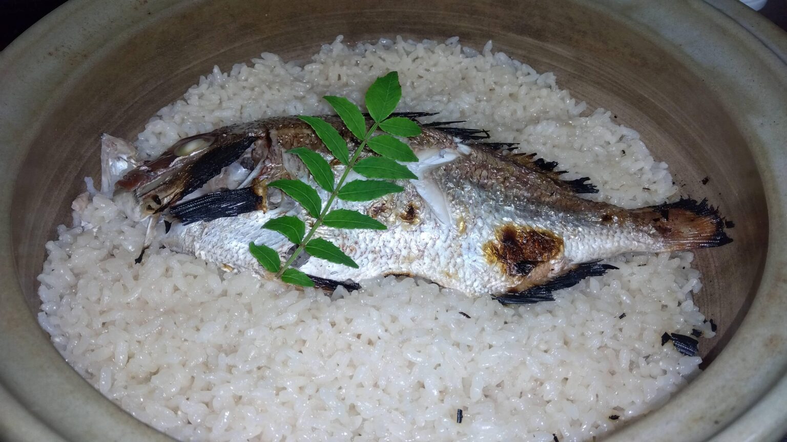 のーもら晩飯部 鯛めしを作る！