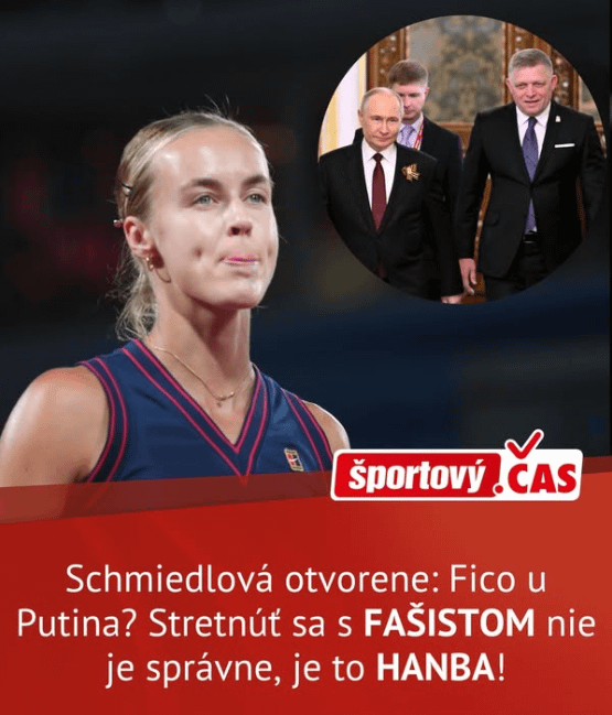 プロ - ロシアの態度が常識よりも優先される国では、それはメダルに値する声明です！