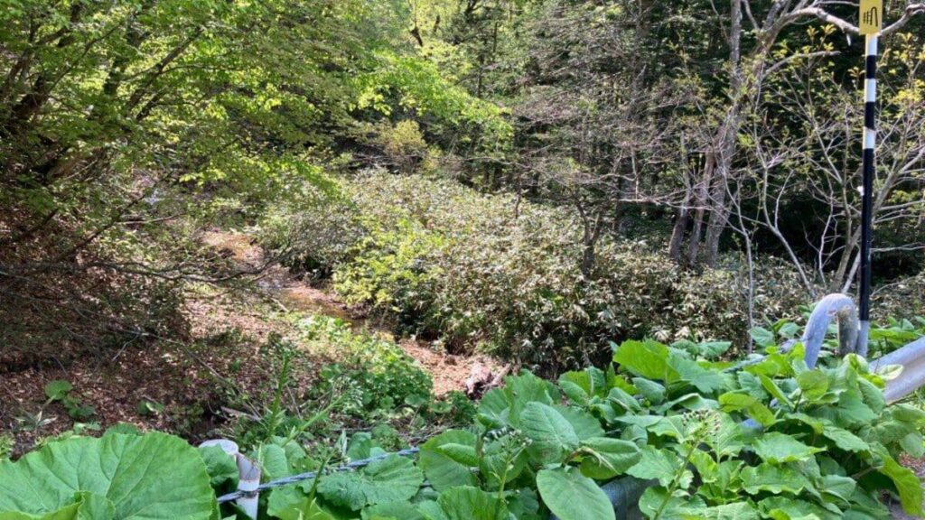 山菜採り中に滑落か…山林の斜面で行方不明だった86歳男性とみられる遺体見つかる、動物などによる損傷はなし 北海道木古内町
