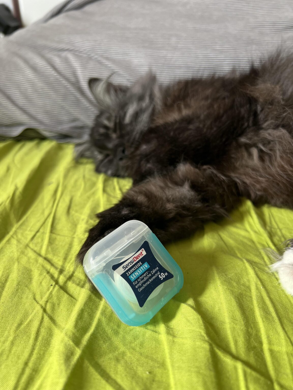 歯科用スレッド