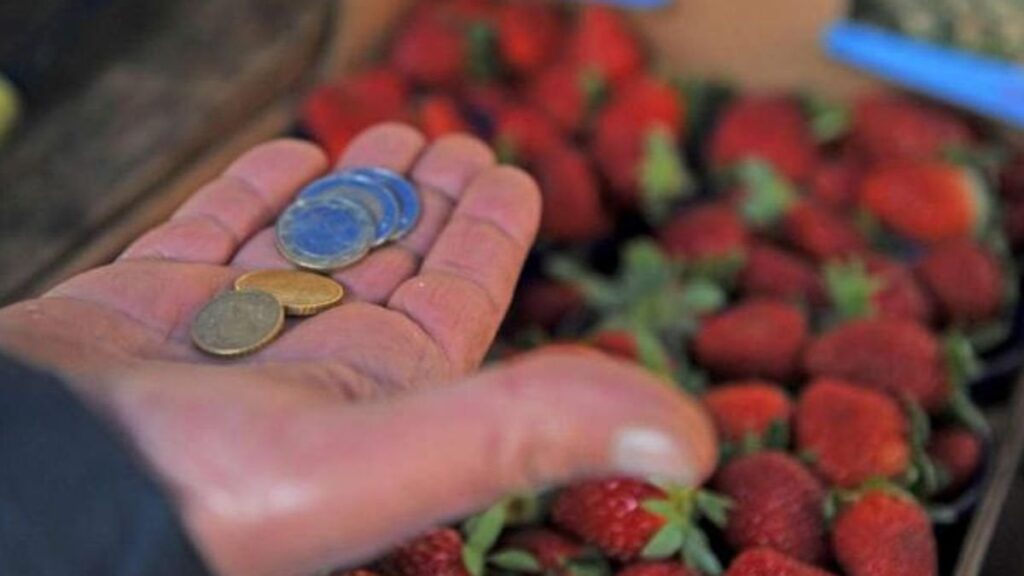 ISTAT：「2019年から2024年の間に、実質賃金は10.5％を失いました。ますます小さい家族：日差しの人々は36.2％です」