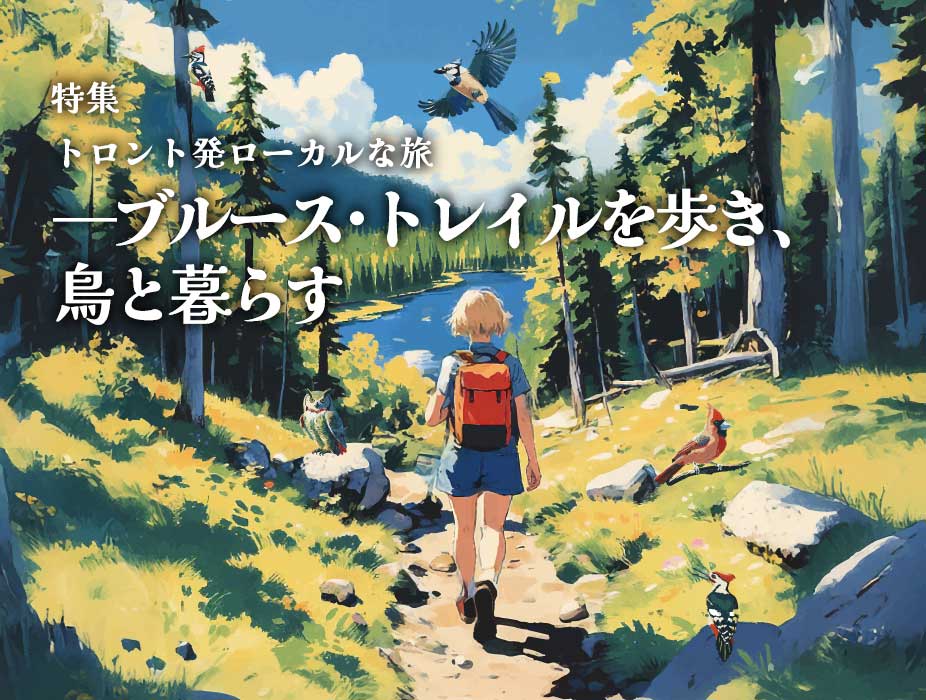 【前編】カナダ最長トレイル「ブルース・トレイル」市民活動が守る自然の宝庫｜特集「トロント発ローカルな旅-ブルース・トレイルを歩き、鳥と暮らす」 | TORJA