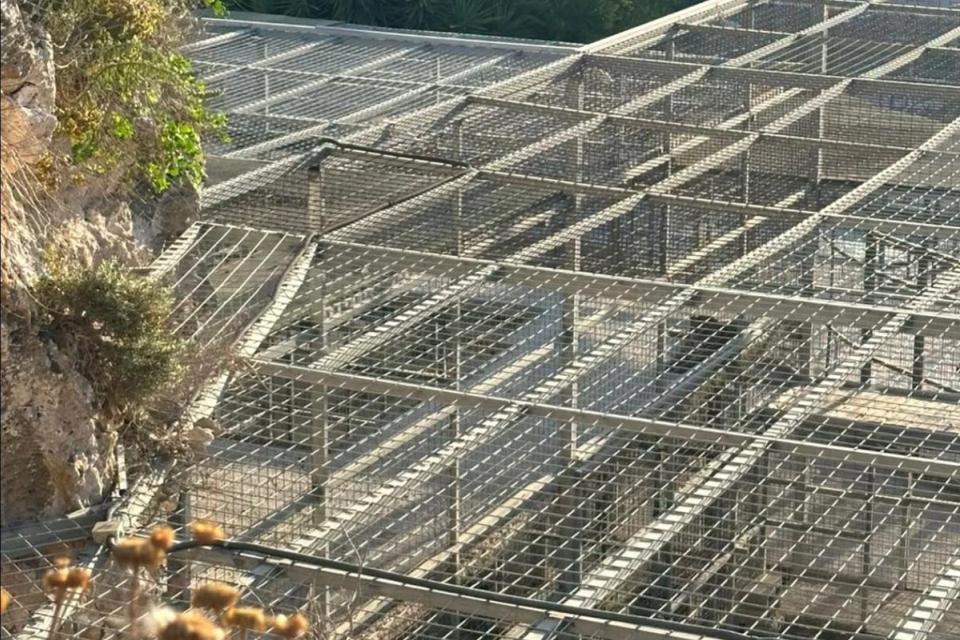 プレスリリース：勢いと混乱の中で大きな猫が静かに移動されるため、勢いは透明性を要求します