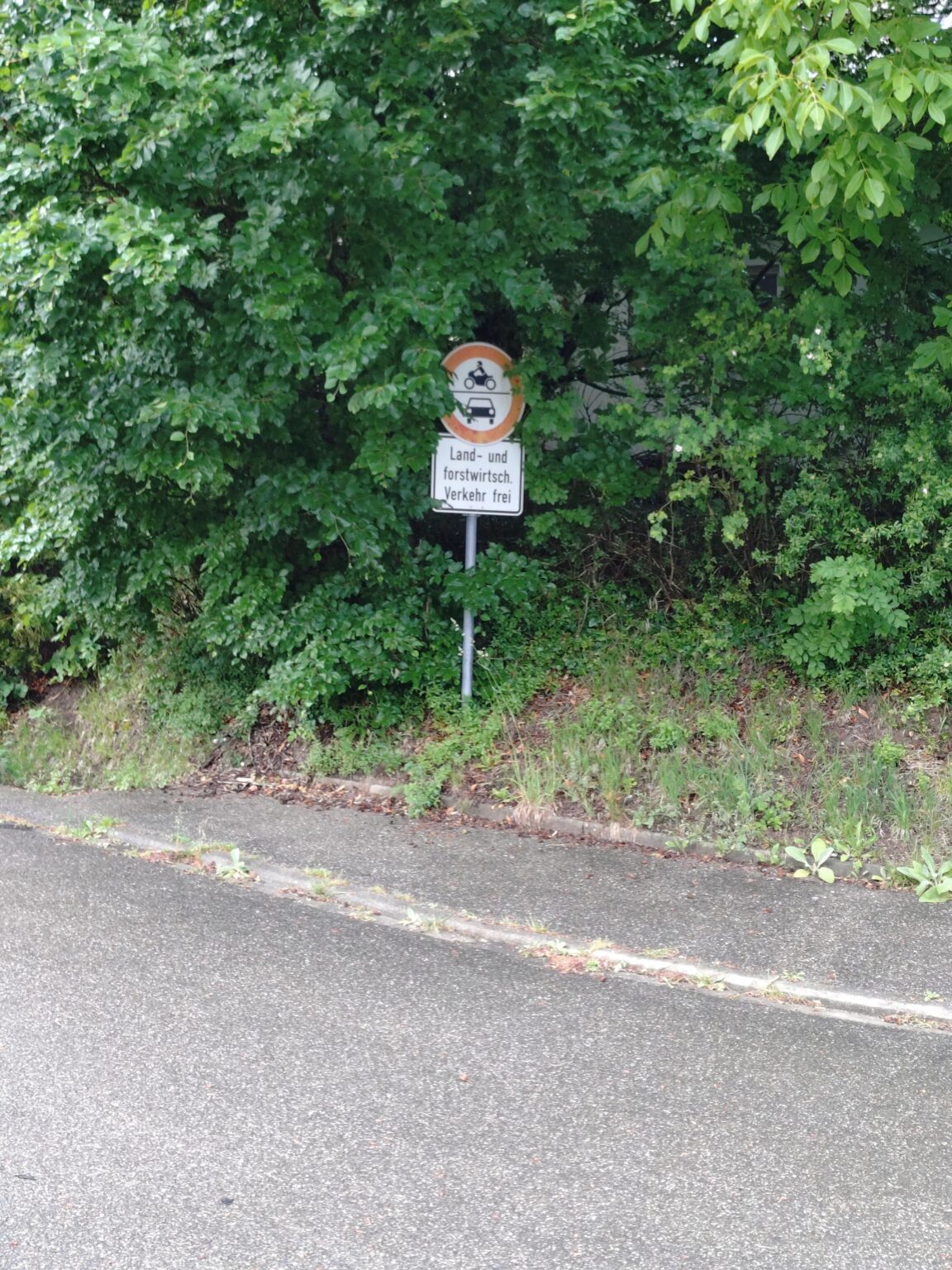 この道路では電子スーターが許可されていませんか？