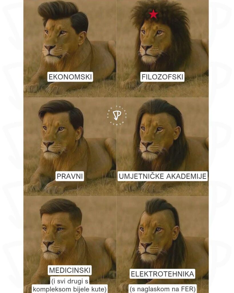 ヘアスタイル...