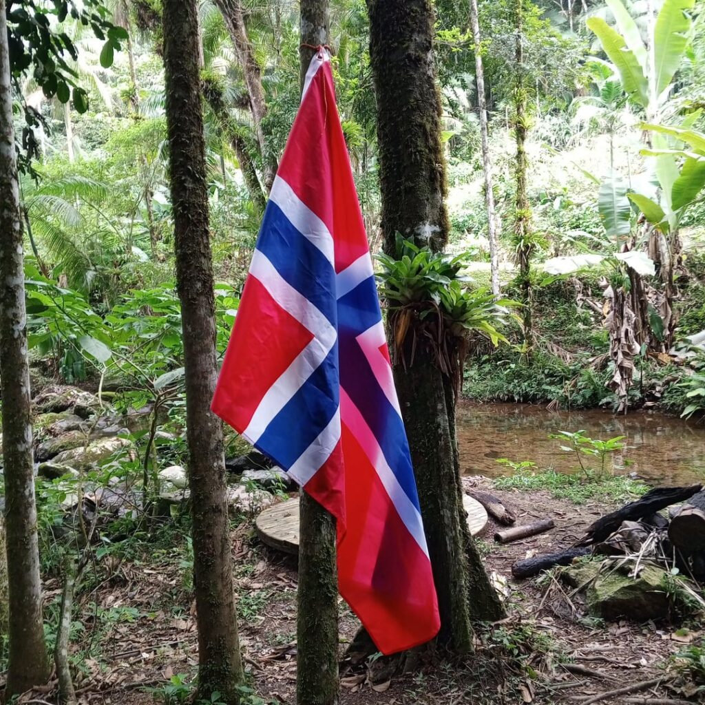 その日おめでとう、ノルウェー！ ❤❤️🩵🇳🇴
