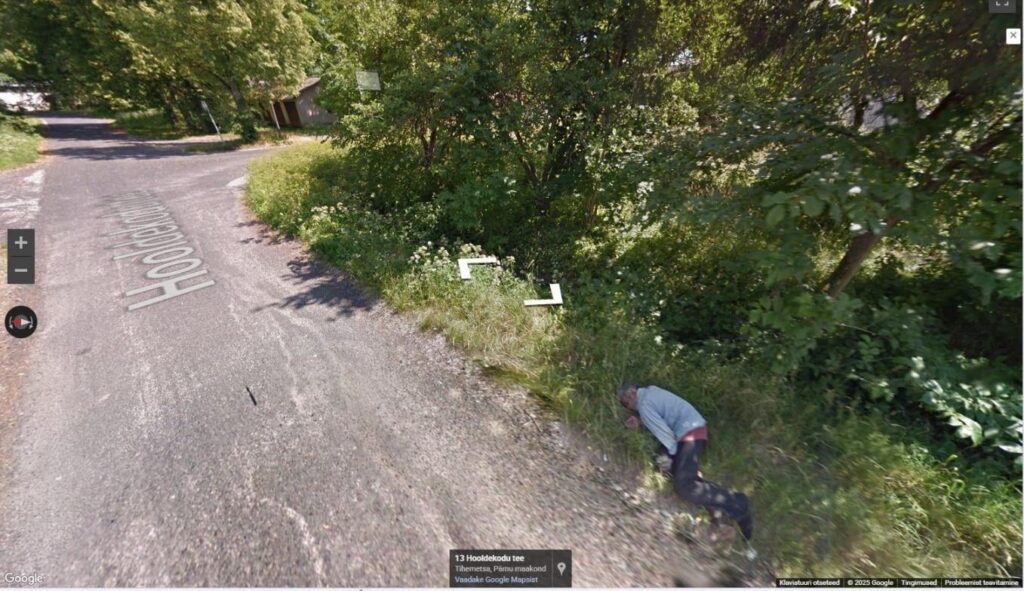 昨日、私はGoogle Street Viewを見て回っていましたが、誰かが似たようなものを見つけましたか？