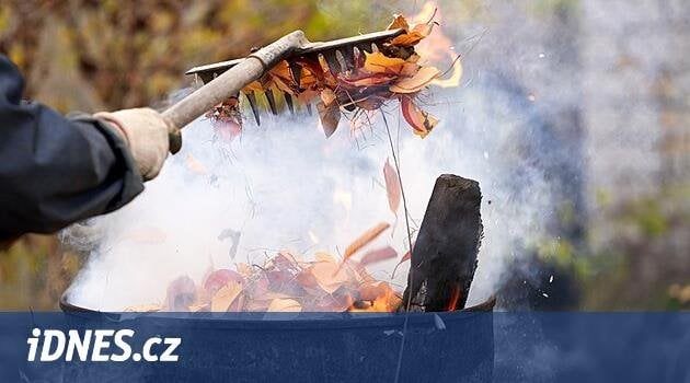 葉や草の燃焼の禁止についてどう思いますか？最後に、きれいな空気、またはゴミ箱にすくいの葉を着用することの不条理？