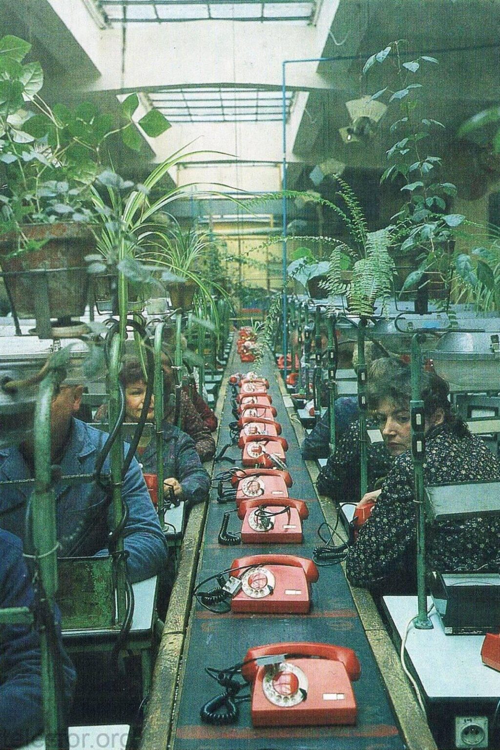 80年代前半のポーランドでのロータリーダイヤル電話の製造