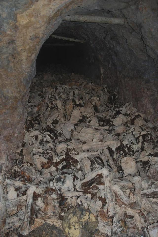 スロベニアの露出した炭鉱の間にユーゴスラビアのパルチザンによって殺された軸と民間人のクロアチア人とスロベニア人兵士の死体の写真。 （2017）