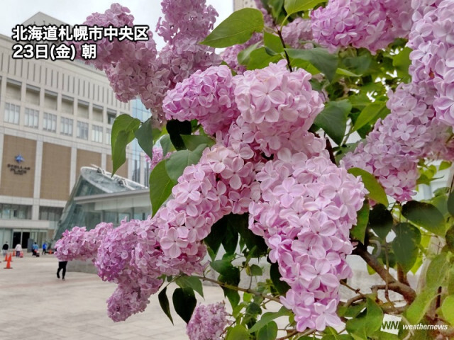 北海道は「リラ冷え」　山沿い中心に天気急変に注意 - コラム - 緑のgoo