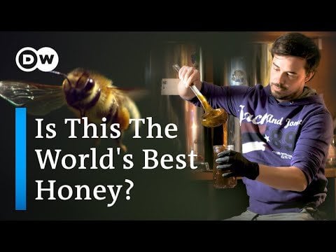 スロベニアが世界最高の蜂蜜の一部を生産する方法