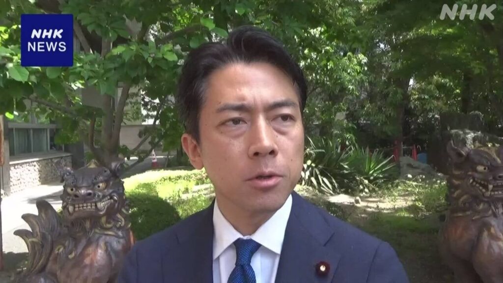 辞表提出の江藤農相の後任に小泉進次郎氏起用の意向 石破首相