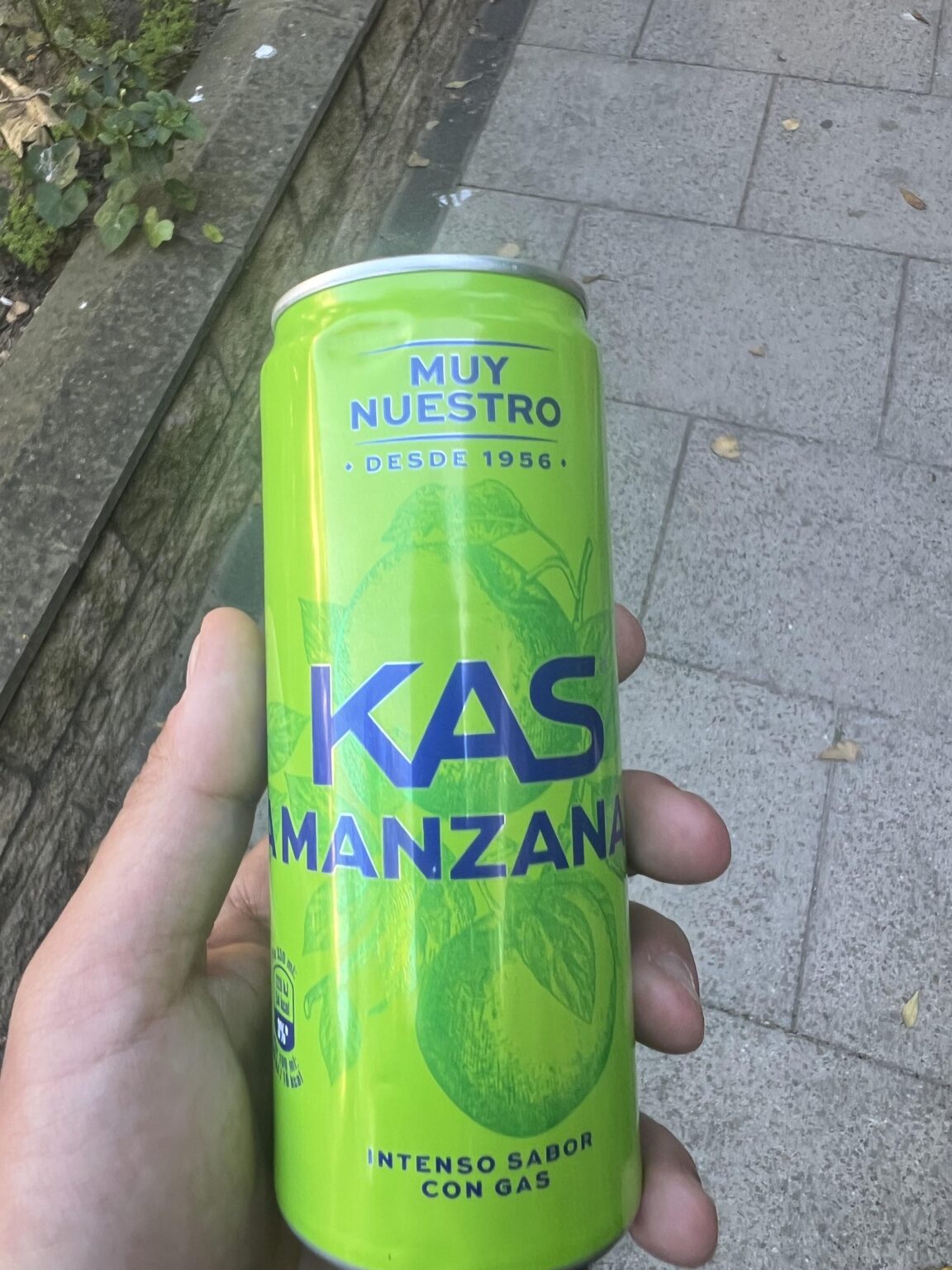 親愛なるスペイン