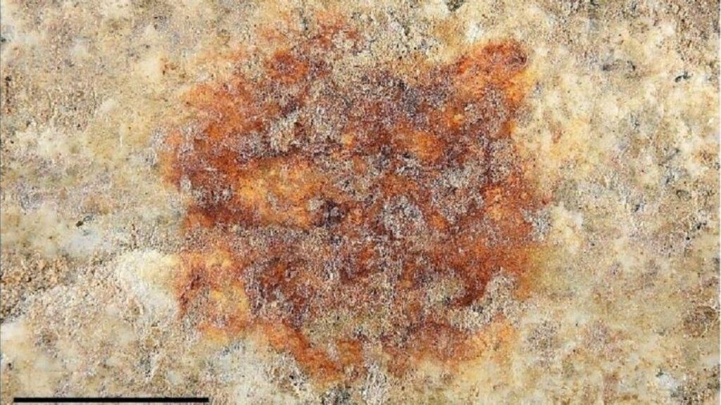 セゴビアで発見された世界で最も古い人間の指紋