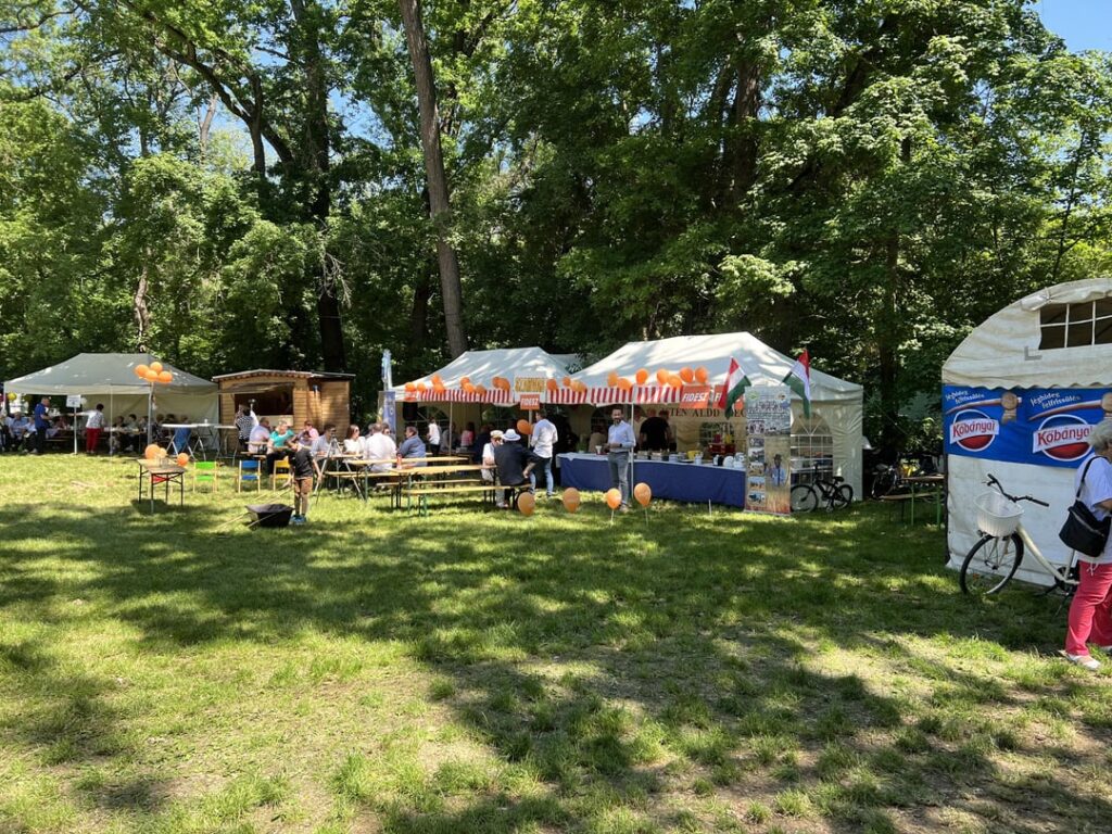 鹿。フィデスとティサ・ブースは、小さな町のフィデスの市長に互いに近くに定住しました - フィデスの誰もティサです。