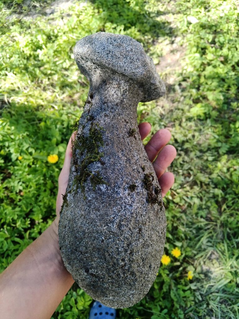庭で独特の石を見つけました