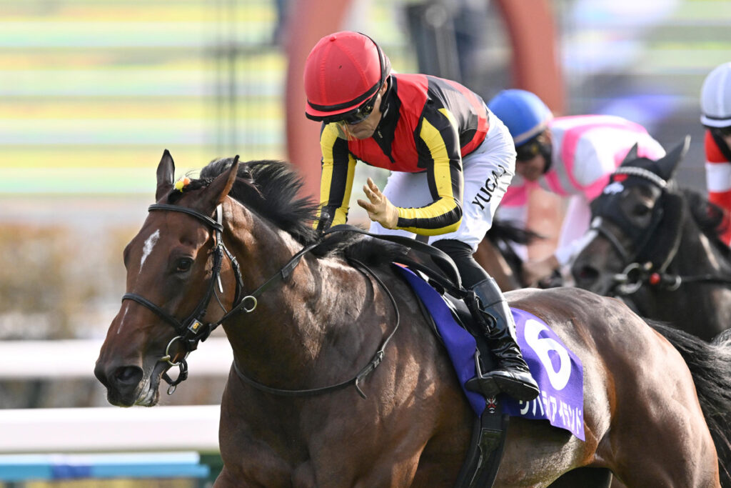 【ＪＲＡ】リバティアイランド追悼の献花台を全国の競馬場に設置 ウインズにも記帳台 追悼映像放映も - 東スポ競馬