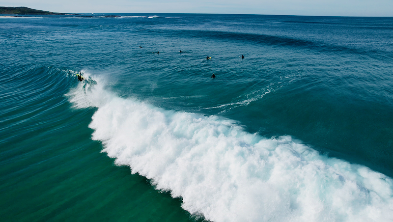 スクリーンショット 2025-06-02 16.06.42