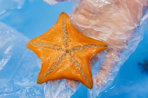 みずみずランド あそべ～る水族館
