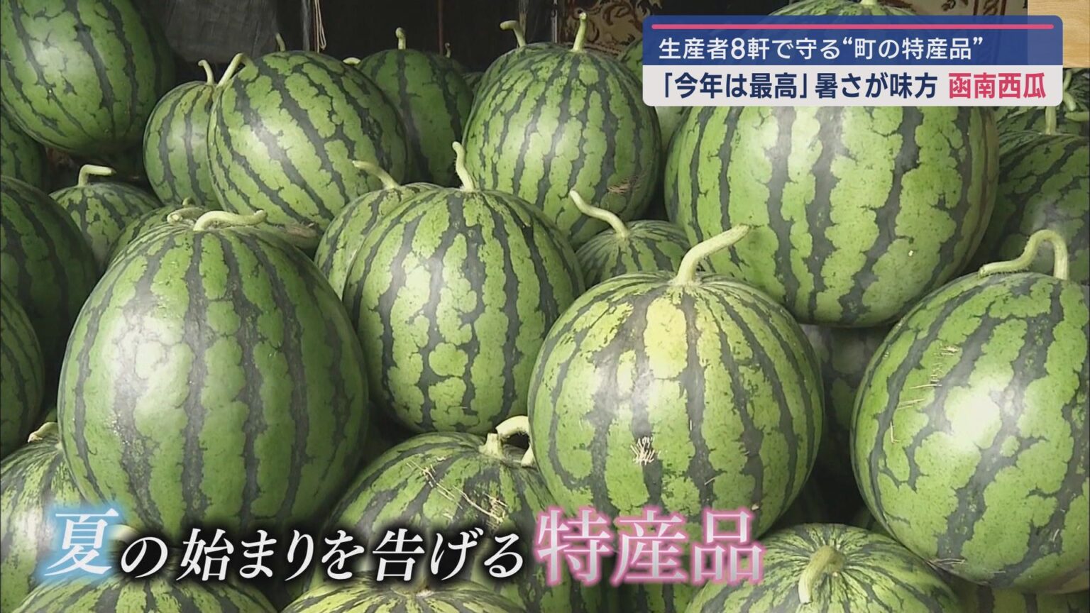 夏の始まりを告げる静岡県函南町の特産品「函南西瓜」50年以上ブランドを守り続けている農家は… - LOOK 静岡朝日テレビ