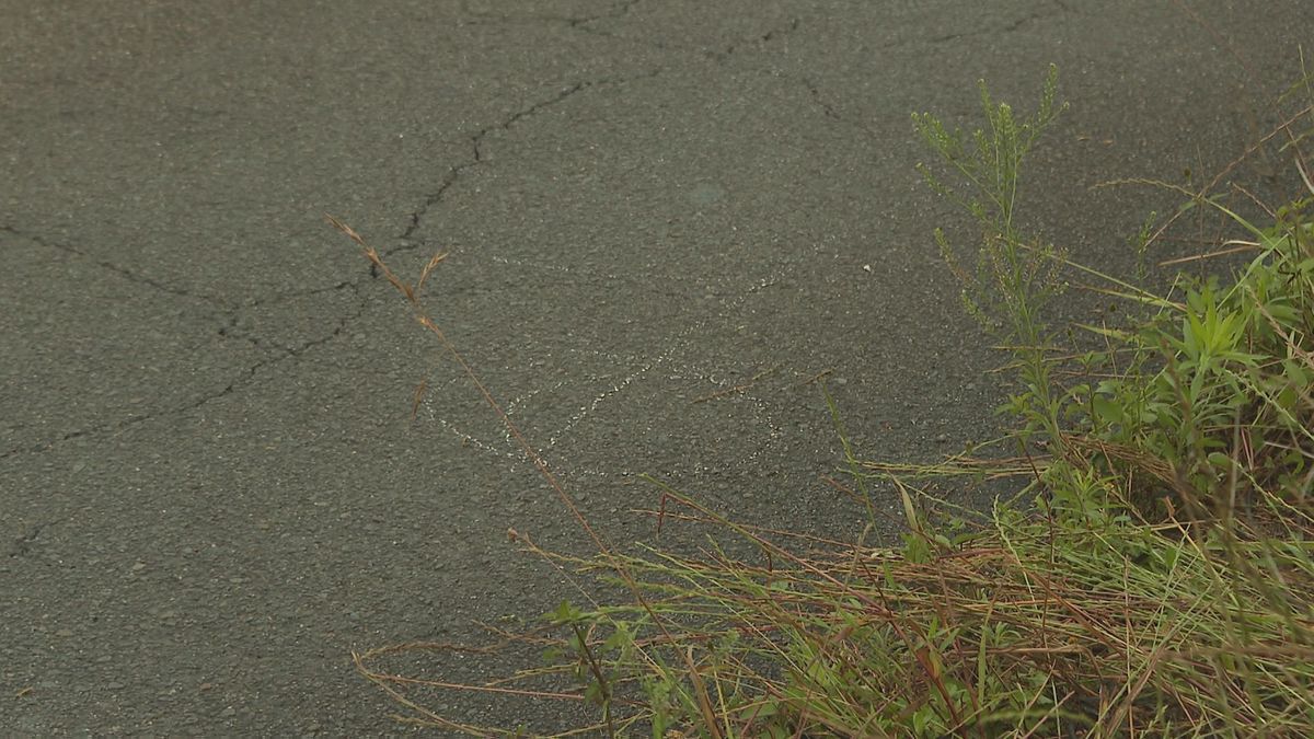 「車にひかれた」70代男性が血を流し倒れているのが見つかる ひき逃げ事件として捜査 愛媛・新居浜市