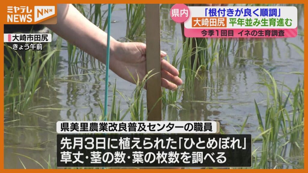 共有