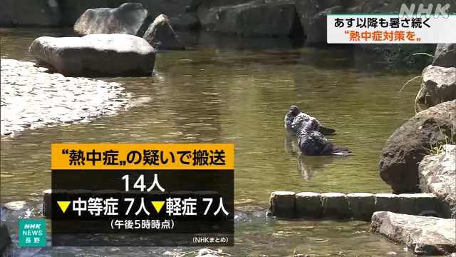 長野県内 熱中症の疑いで１４人搬送（午後５時時点）
