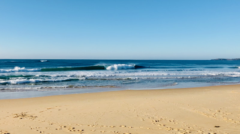 スクリーンショット 2025-06-02 5.13.58