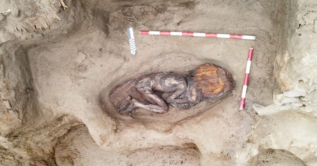 ペルーの遺跡で女性指導者の遺骨を発見。副葬品や葬送方法が示す、カラル文明の複雑な社会構造 | ARTnews JAPAN（アートニュースジャパン）