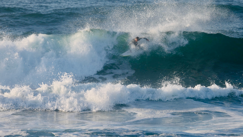 スクリーンショット 2025-06-01 5.54.31