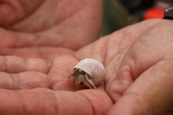 みずみずランド あそべ～る水族館