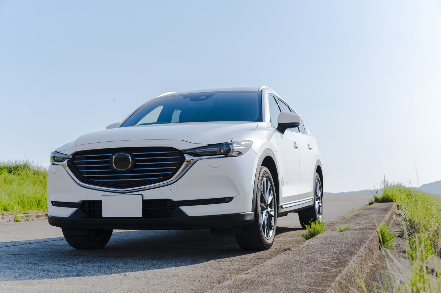 「レギュラーガソリンが高い都道府県」ランキング！　1位は「高知県」の177.2円【2025年6月8日時点】（1/2） | ライフ ねとらぼリサーチ - ねとらぼ