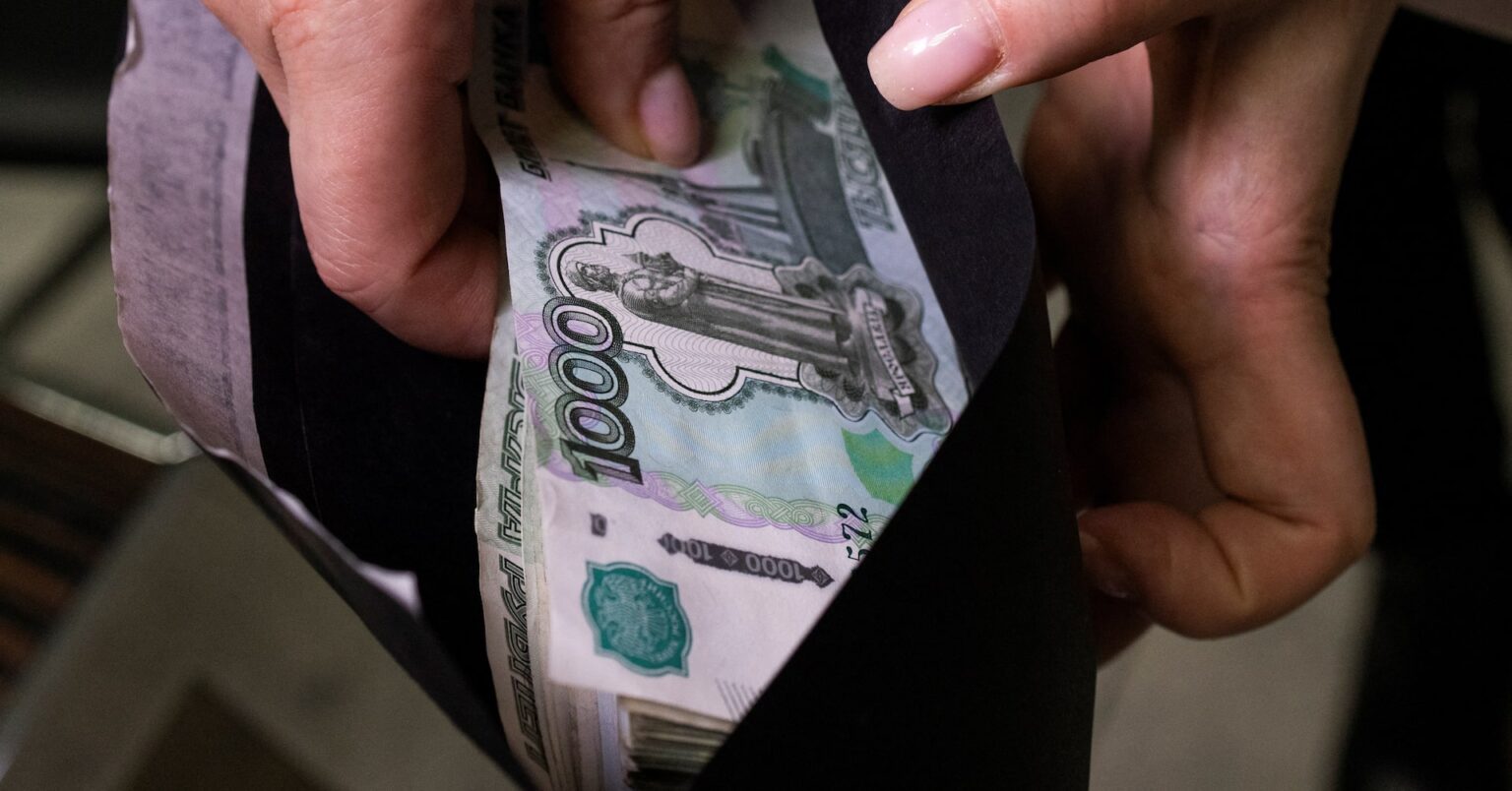 ロシア中銀、外貨購入停止へ　ルーブルの下げ加速受け | ロイター