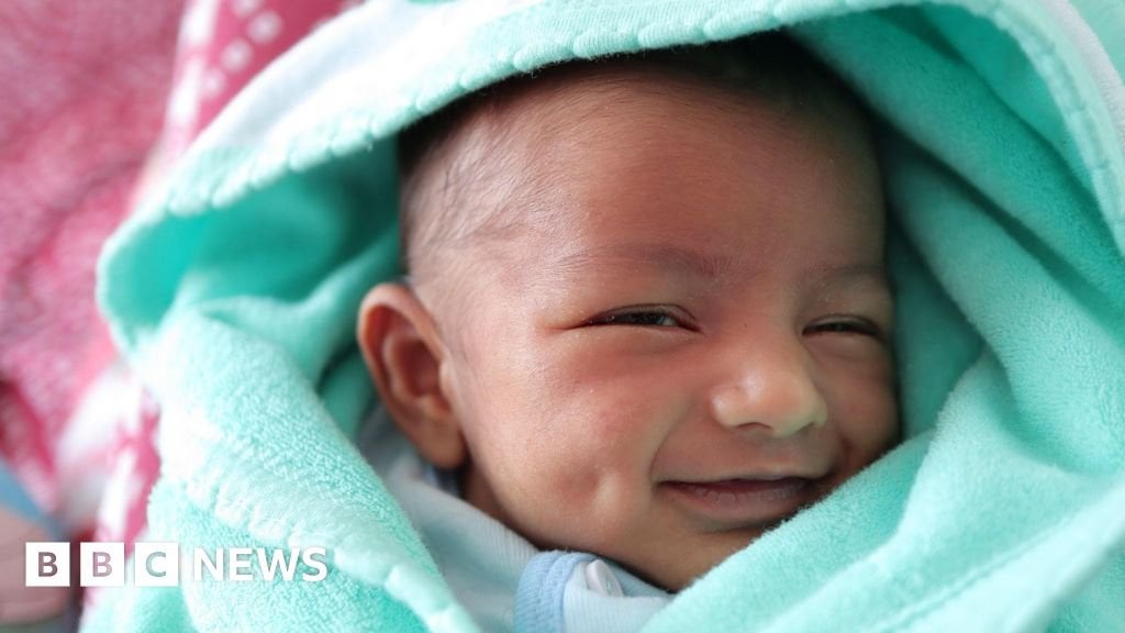 「前例のない衰退」の世界の肥沃度率、国連は言う-BBCニュース