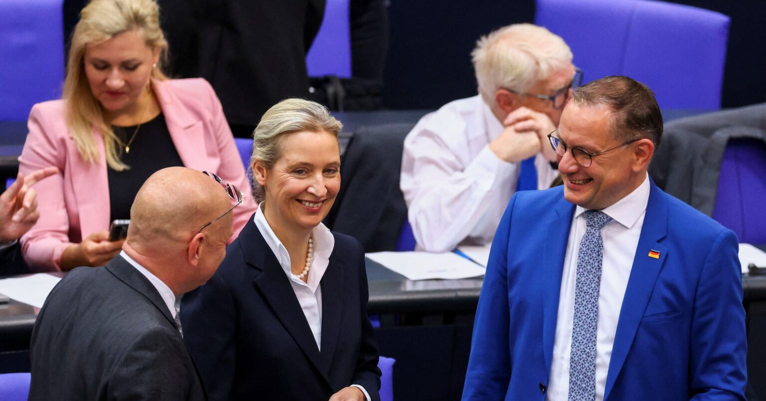 ドイツ極右政党ＡｆＤ、過激主義者が急増＝情報機関報告書 | ロイター
