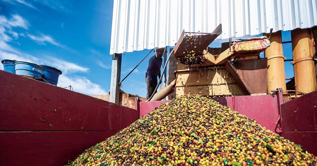 ワールドウオッチ：高級コーヒー不作のブラジルがメキシコの割安種を輸入　美代賢志 | 週刊エコノミスト Online
