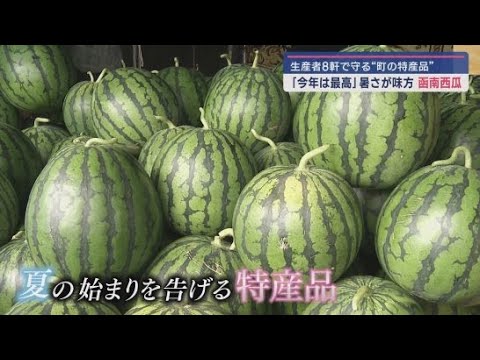 YouTube Video 夏の始まりを告げる静岡県函南町の特産品「函南西瓜」50年以上ブランドを守り続けている農家は…