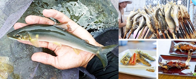 多彩な魅力あふれる岐阜が熱い！1300年の鵜飼と旬の鮎、鉄道で巡る夏の「ぎふ旅」へ | 鉄道ニュース | 鉄道チャンネル